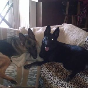 Meet your Posher, Margie